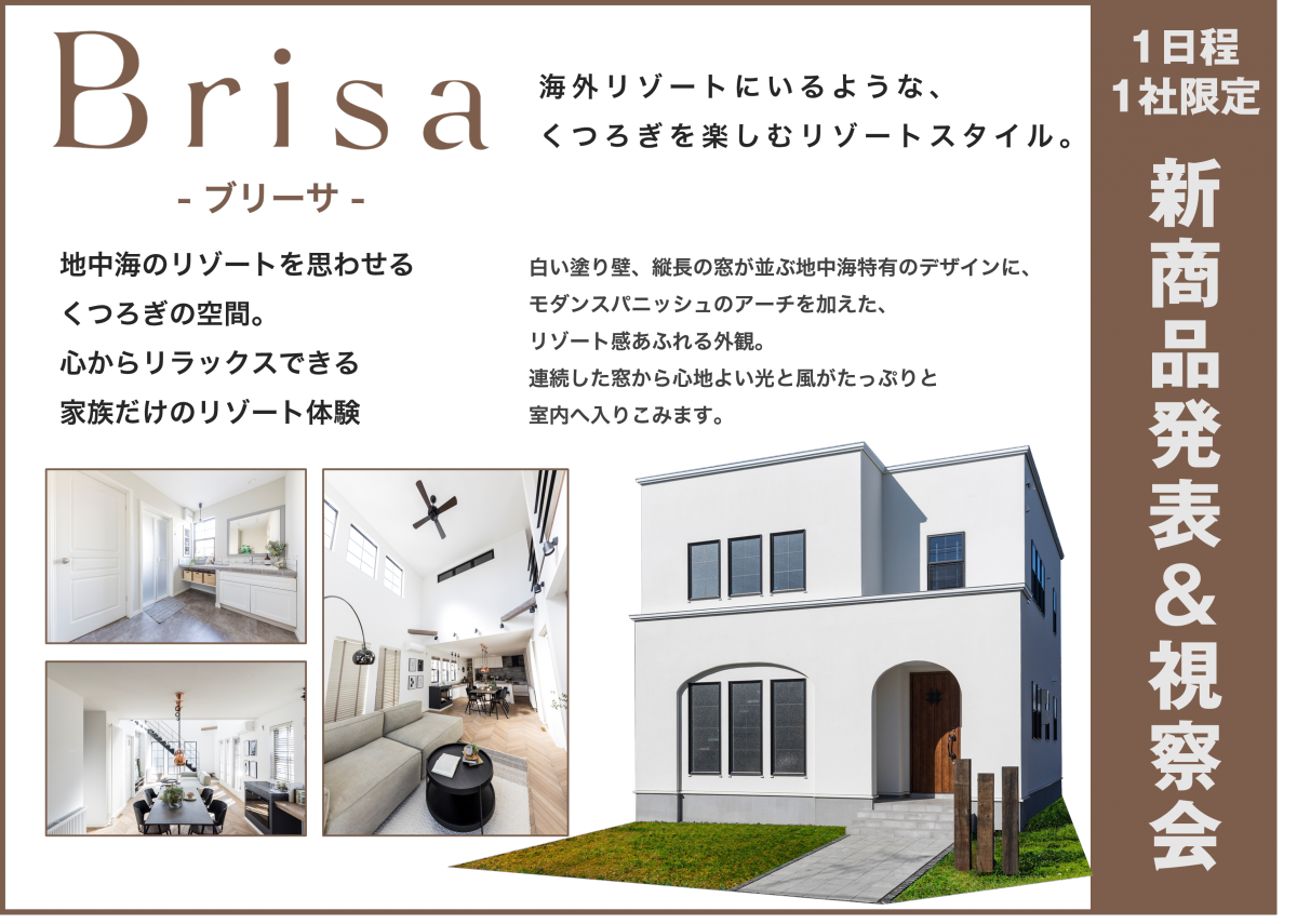 BrisaLPファーストビュー.png