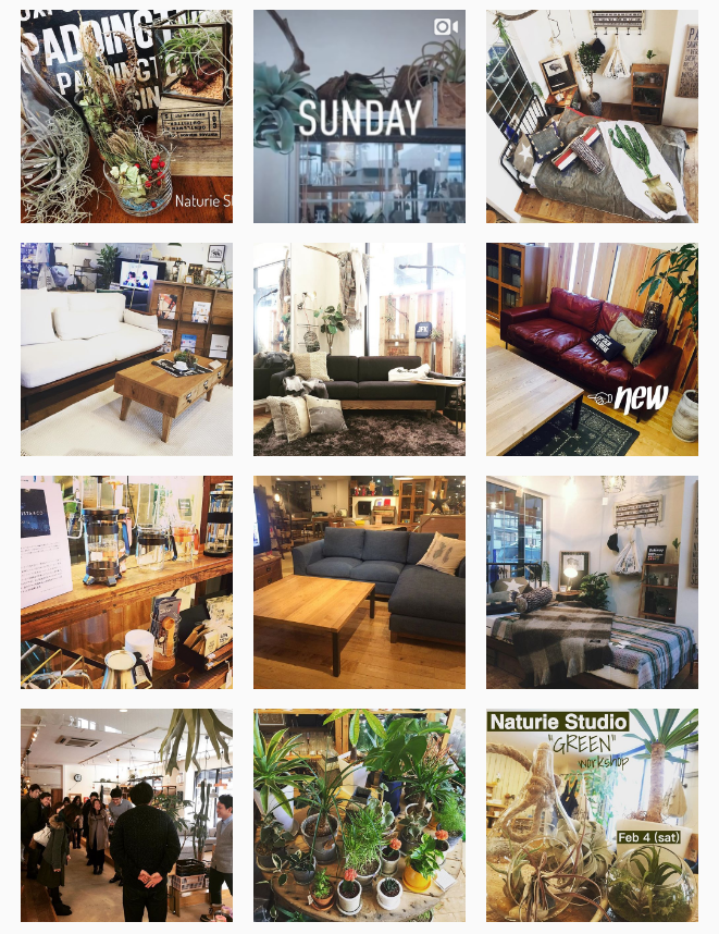 naturiestudio-Instagram.png